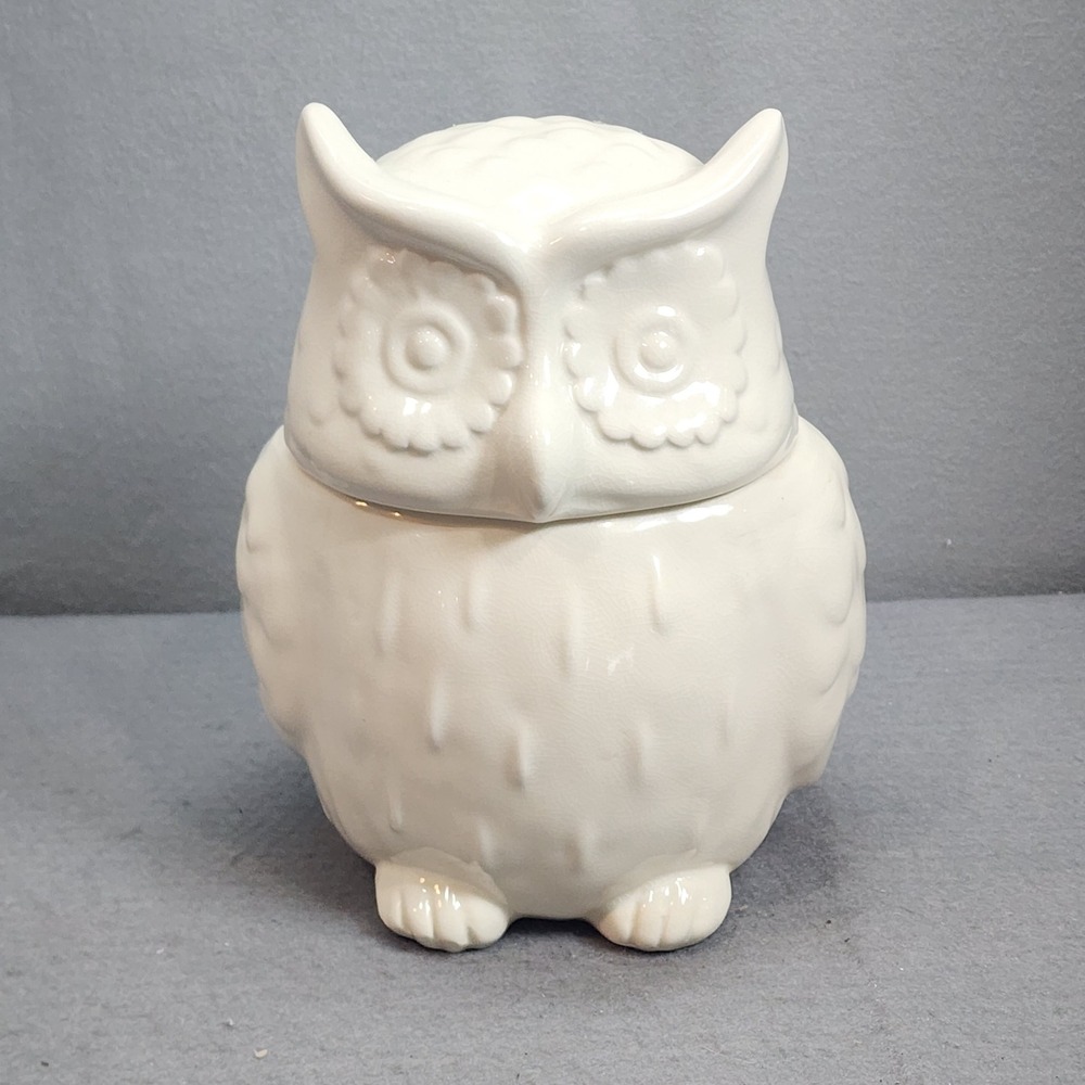 Threshold Cookie Jar White Owl Stoneware Embossed Kitchen Decor 2013